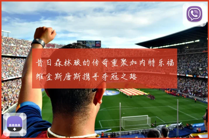昔日森林狼的传奇重聚加内特乐福维金斯唐斯携手夺冠之路